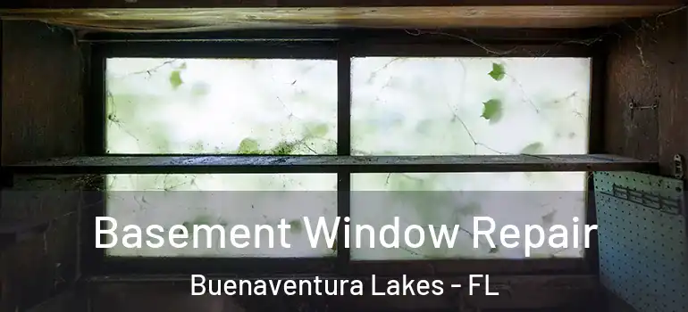 Basement Window Repair Buenaventura Lakes - FL