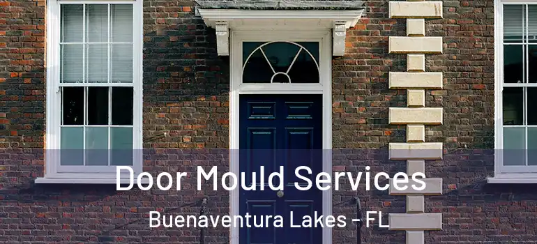 Door Mould Services Buenaventura Lakes - FL