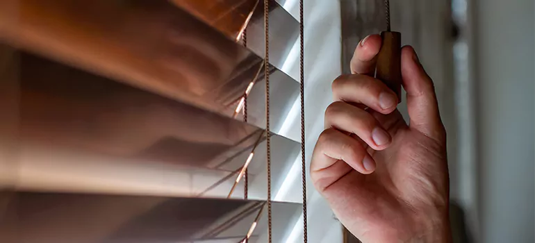 Double Roller Blinds in Buenaventura Lakes, FL