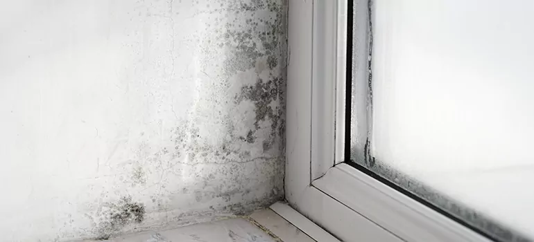 Buenaventura Lakes, FL