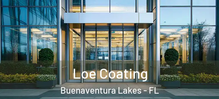 Loe Coating Buenaventura Lakes - FL