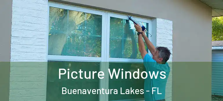 Picture Windows Buenaventura Lakes - FL